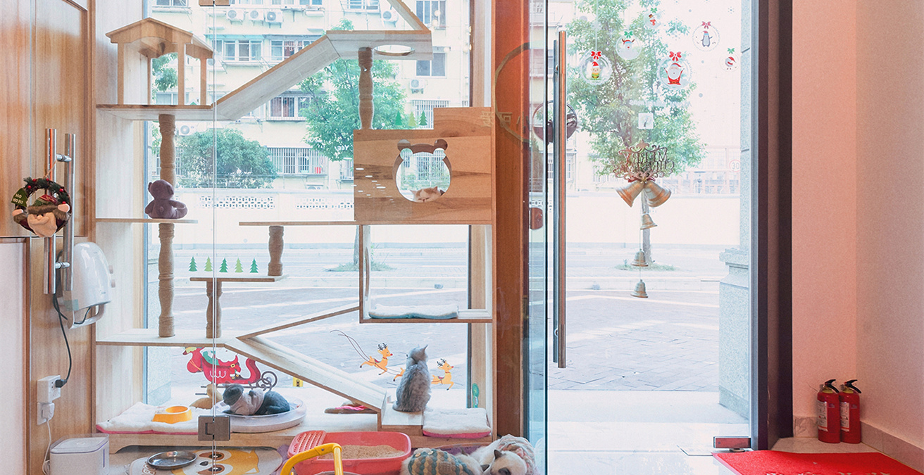 青浦區(qū)小清新寵物店裝修設計-第1張圖片-上海古都建筑設計集團 青浦區(qū)小清新寵物店裝修設計-第1張圖片-上海古都建筑設計集團