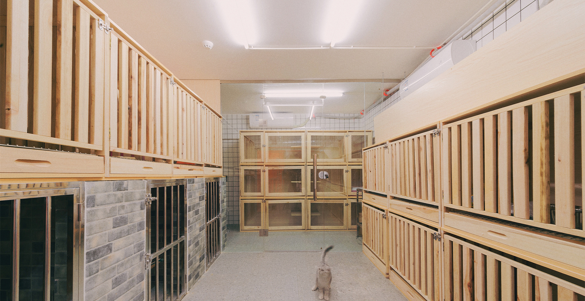 青浦區(qū)小清新寵物店裝修設計-第2張圖片-上海古都建筑設計集團 青浦區(qū)小清新寵物店裝修設計-第2張圖片-上海古都建筑設計集團