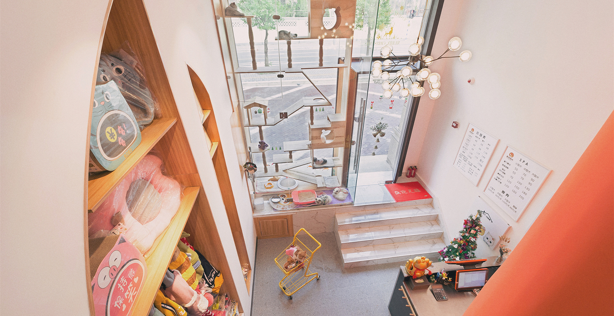 青浦區(qū)小清新寵物店裝修設計-第3張圖片-上海古都建筑設計集團 青浦區(qū)小清新寵物店裝修設計-第3張圖片-上海古都建筑設計集團